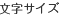 文字サイズ